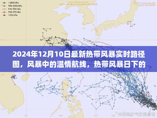 2024年熱帶風(fēng)暴實(shí)時(shí)路徑圖，風(fēng)暴中的溫情旅程與特殊旅程揭秘