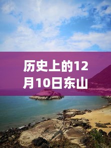 歷史上的十二月十日東山島藍(lán)眼淚現(xiàn)象，回望與實(shí)時(shí)更新影響