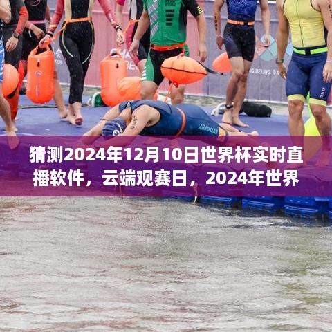 云端觀賽日，世界杯與直播軟件的奇妙之旅 2024年世界杯預測直播體驗