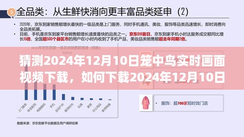 詳細(xì)步驟指南，如何下載2024年籠中鳥實時畫面視頻下載指南及步驟解析