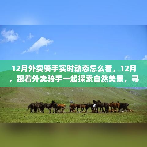 跟著外賣騎手探索自然美景，12月實(shí)時(shí)動(dòng)態(tài)與心靈之旅