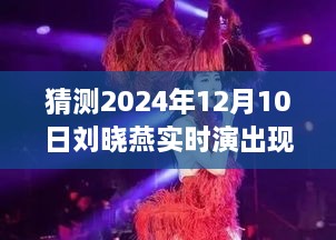 劉曉燕演唱會盛宴，深度體驗與全面解析——預測2024年劉曉燕現場演出紀實