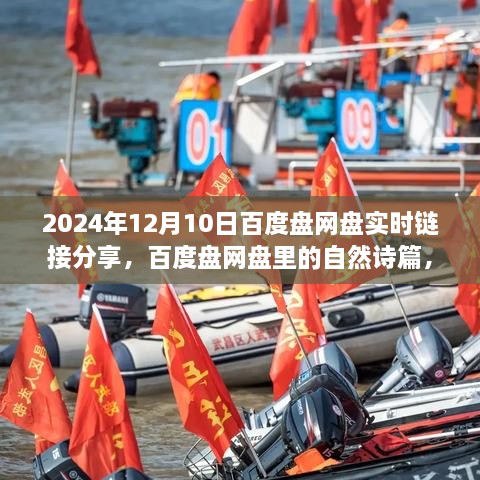 百度盤網盤心靈詩篇分享，一場實時鏈接的心靈之旅啟程（2024年12月10日）