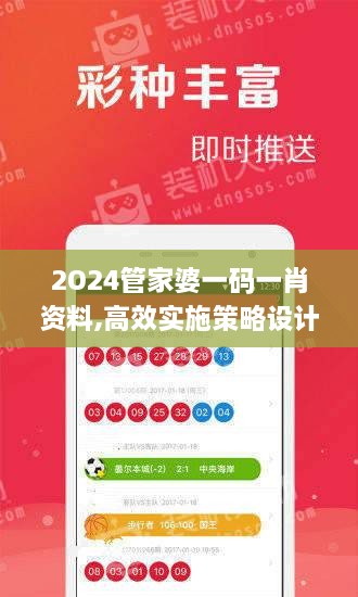 2O24管家婆一碼一肖資料,高效實(shí)施策略設(shè)計(jì)_9DM1.998