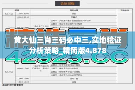 黃大仙三肖三碼必中三,實地驗證分析策略_精簡版4.878