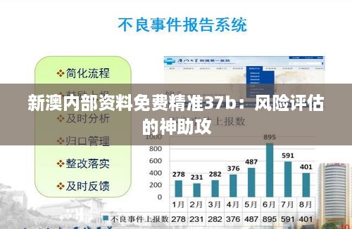 新澳內(nèi)部資料免費精準37b：風(fēng)險評估的神助攻