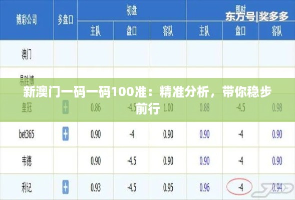 新澳門一碼一碼100準(zhǔn)：精準(zhǔn)分析，帶你穩(wěn)步前行