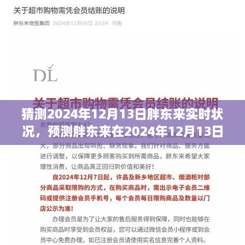 2024年12月13日胖東來商業(yè)前景預(yù)測與實時狀況分析