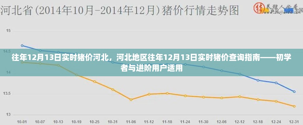 河北地區(qū)歷年12月13日實(shí)時(shí)豬價(jià)查詢指南，初學(xué)者與進(jìn)階用戶必備參考