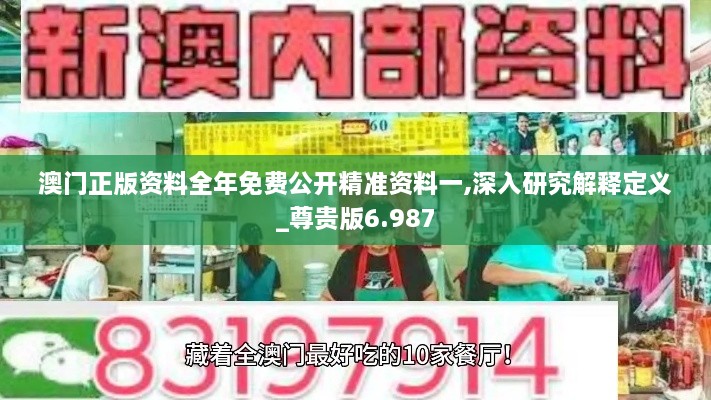 澳門(mén)正版資料全年免費(fèi)公開(kāi)精準(zhǔn)資料一,深入研究解釋定義_尊貴版6.987