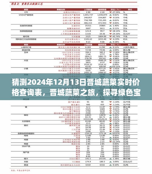 晉城蔬菜價(jià)格預(yù)測(cè)與綠色寶藏探尋之旅，心靈之旅啟程于2024年12月13日