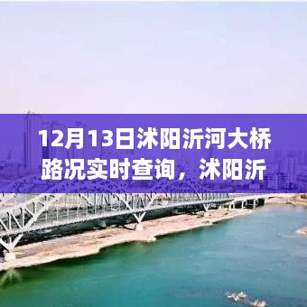 沭陽(yáng)沂河大橋?qū)崟r(shí)路況深度解析，影響與價(jià)值探討