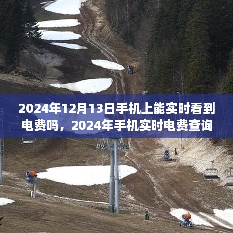 2024年手機實時電費查詢，便捷生活一觸即發(fā)