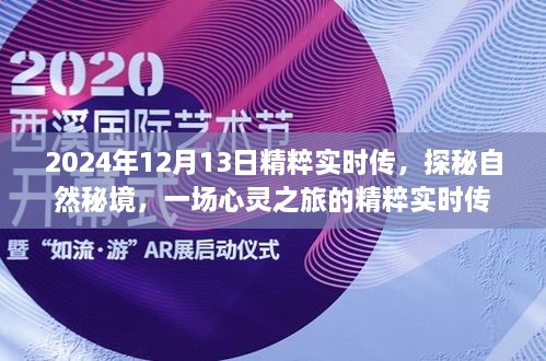 探秘自然秘境，心靈之旅的精粹實時傳（2024年12月13日）