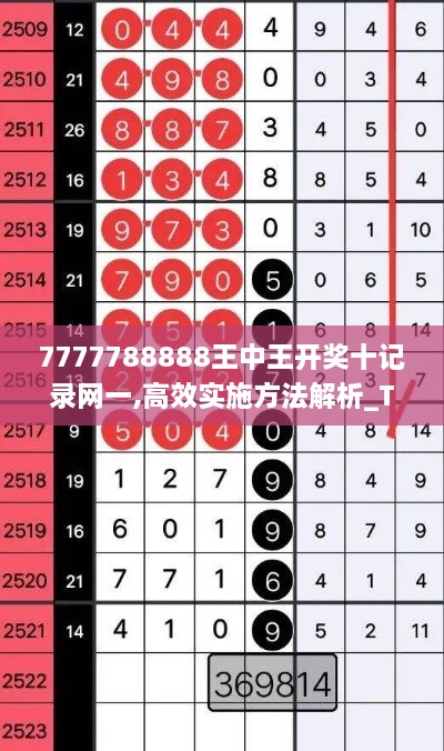 7777788888王中王開獎十記錄網(wǎng)一,高效實(shí)施方法解析_Tizen2.756