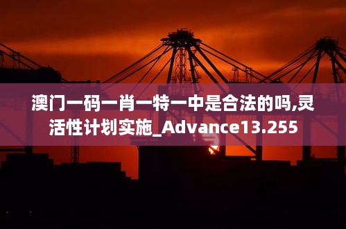 澳門一碼一肖一特一中是合法的嗎,靈活性計(jì)劃實(shí)施_Advance13.255