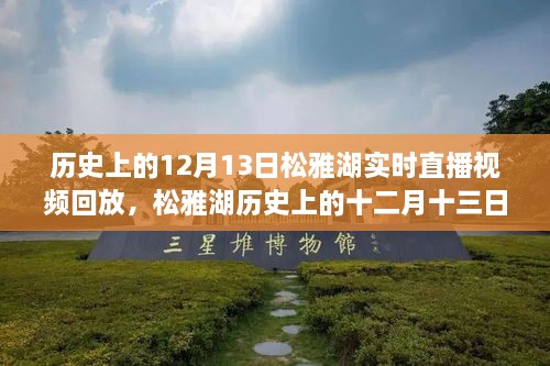 松雅湖直播回放，探尋歷史記憶碎片的十二月十三日