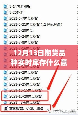 揭秘期貨品種實(shí)時(shí)庫(kù)存，解讀與理解實(shí)時(shí)庫(kù)存信息，適合初學(xué)者與進(jìn)階用戶指南