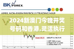 2024新澳門今晚開獎(jiǎng)號(hào)碼和香港,靈活執(zhí)行策略_C版110.434