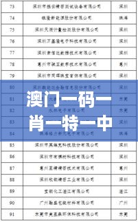 澳門一碼一肖一特一中是公開的嗎,精細化說明解析_XR11.605