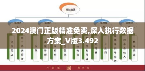 2024澳門正版精準(zhǔn)免費(fèi),深入執(zhí)行數(shù)據(jù)方案_V版3.492