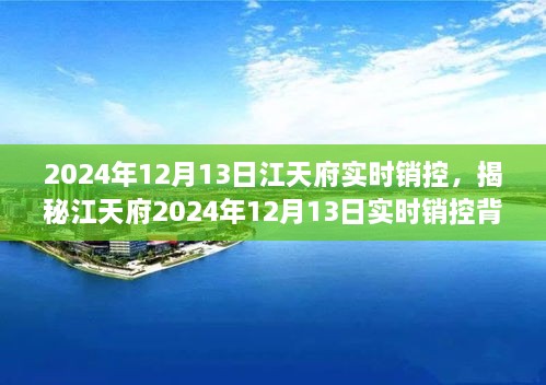 揭秘江天府實時銷控背后的秘密，深度解析2024年12月13日數(shù)據(jù)動態(tài)與趨勢分析