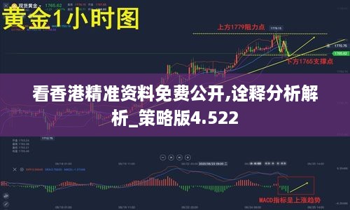 看香港精準(zhǔn)資料免費公開,詮釋分析解析_策略版4.522