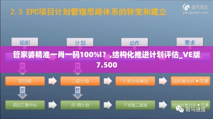 管家婆精準一肖一碼100%l？,結構化推進計劃評估_VE版7.500