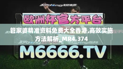 管家婆精準(zhǔn)資料免費大全香港,高效實施方法解析_MR4.374