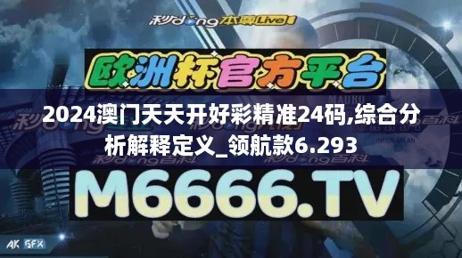 2024澳門天天開好彩精準24碼,綜合分析解釋定義_領(lǐng)航款6.293