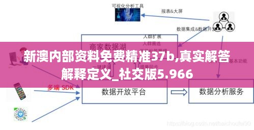 新澳內(nèi)部資料免費(fèi)精準(zhǔn)37b,真實(shí)解答解釋定義_社交版5.966