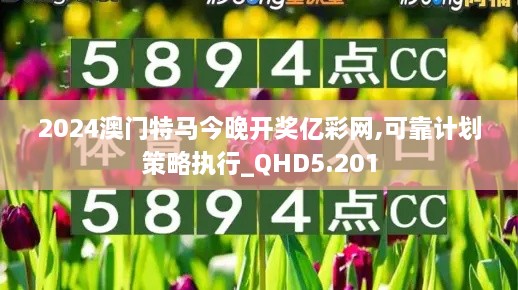 2024澳門特馬今晚開獎億彩網(wǎng),可靠計劃策略執(zhí)行_QHD5.201