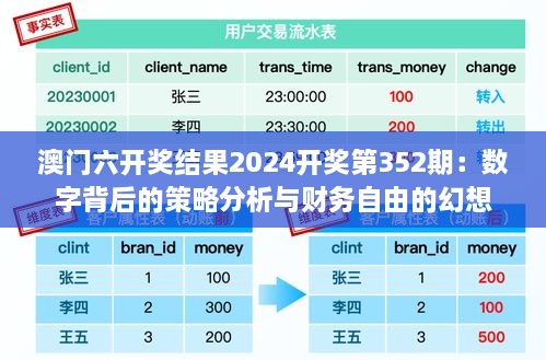 澳門(mén)六開(kāi)獎(jiǎng)結(jié)果2024開(kāi)獎(jiǎng)第352期：數(shù)字背后的策略分析與財(cái)務(wù)自由的幻想