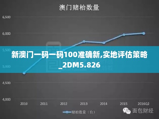 新澳門一碼一碼100準(zhǔn)確新,實(shí)地評估策略_2DM5.826