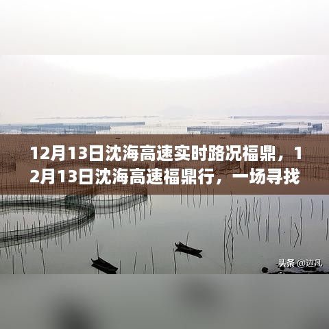 12月13日沈海高速福鼎路況實時更新，心靈與自然之旅的親密接觸