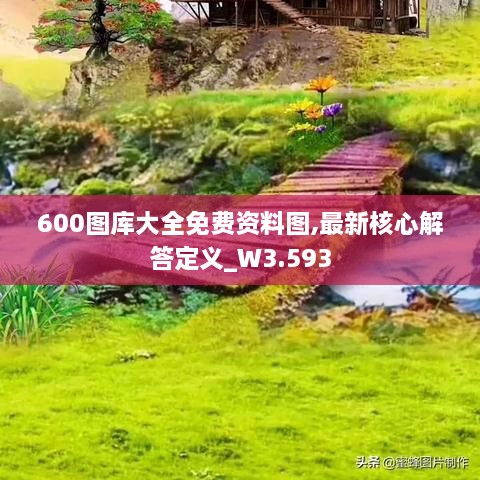 600圖庫大全免費資料圖,最新核心解答定義_W3.593