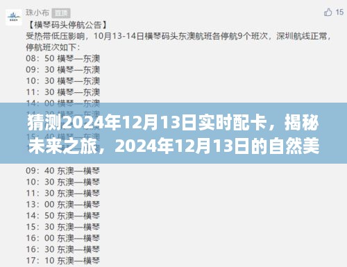 揭秘未來(lái)之旅，啟程尋找內(nèi)心的寧?kù)o與平和——2024年12月13日自然美景配卡猜想