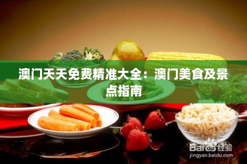 澳門天天免費(fèi)精準(zhǔn)大全：澳門美食及景點(diǎn)指南