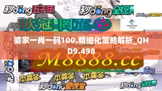 婆家一肖一碼100,精細(xì)化策略解析_QHD9.498