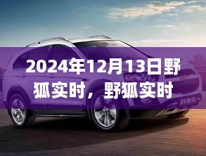 野狐實時，溫馨日常中的歡樂時光（2024年12月13日）