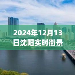 沈陽獨家揭秘，2024年實時街景地圖全解析，領(lǐng)略城市新風(fēng)貌