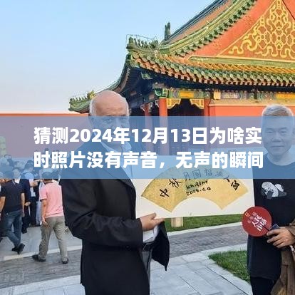 揭秘?zé)o聲瞬間背后的故事，為何2024年實(shí)時(shí)照片無(wú)聲開啟學(xué)習(xí)與成長(zhǎng)之旅？