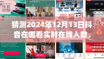 未來(lái)視野之旅，揭秘2024年抖音實(shí)時(shí)在線人數(shù)盛況——家庭日，在線情緣的見(jiàn)證