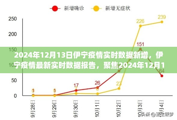 2024年12月13日伊寧疫情實(shí)時(shí)數(shù)據(jù)報(bào)告，聚焦最新新增情況