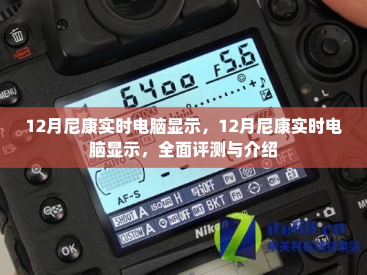 12月尼康實時電腦顯示，全面評測與詳細介紹