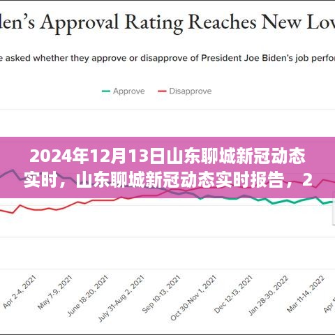 山東聊城新冠疫情動態(tài)報告，回顧與展望（2024年12月13日）