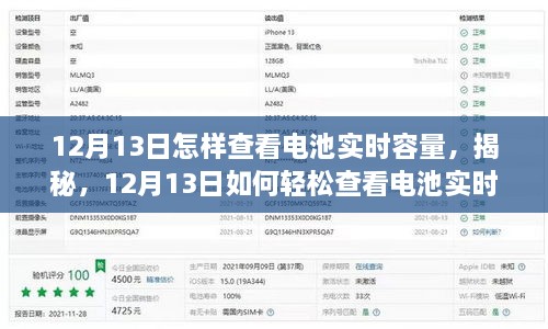 揭秘，如何輕松查看電池實時容量（12月13日指南）