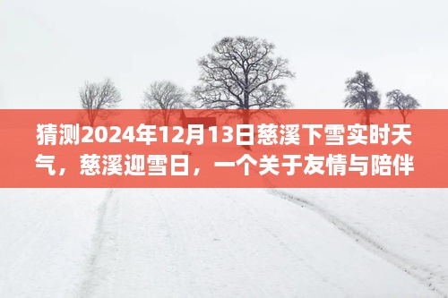 慈溪雪日溫情，友情與陪伴的溫馨故事，預(yù)測(cè)2024年12月13日實(shí)時(shí)天氣