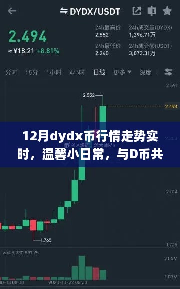 12月dydx幣行情下的快樂時光，實時走勢與溫馨日常