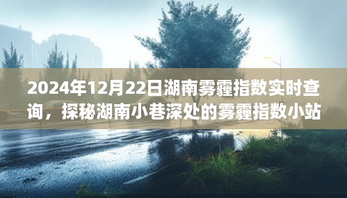 探秘湖南小巷深處，霧霾指數(shù)小站實(shí)時(shí)查詢之旅（2024年12月22日）